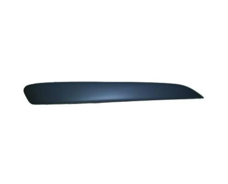 Decorative/protection panel, bumper