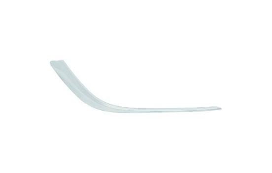 Decorative/protection panel, bumper