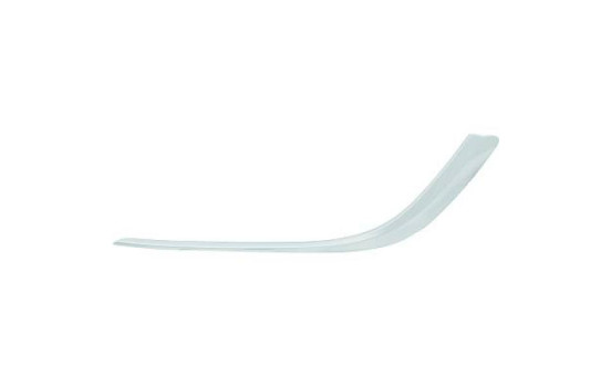 Decorative/protection panel, bumper