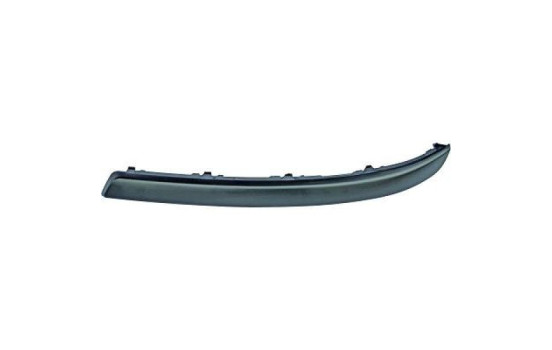Decorative/protection panel, bumper