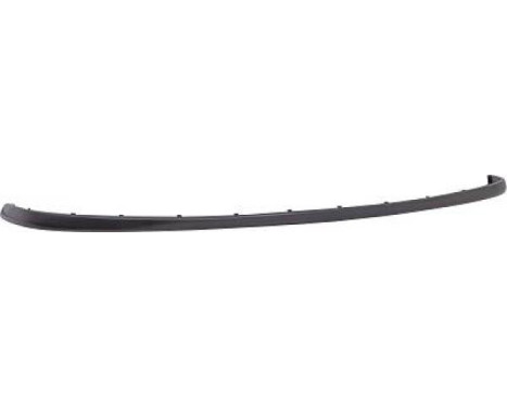 Decorative/protection panel, bumper