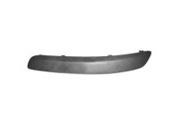 Decorative/protection panel, bumper