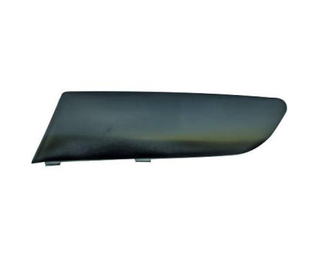 Decorative/protection panel, bumper