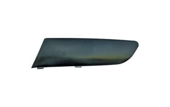 Decorative/protection panel, bumper