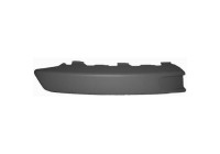 Decorative/protection panel, bumper