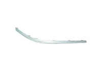 Decorative/protection panel, bumper