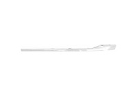 Decorative/protection panel, bumper