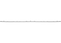 Decorative/protection panel, bumper