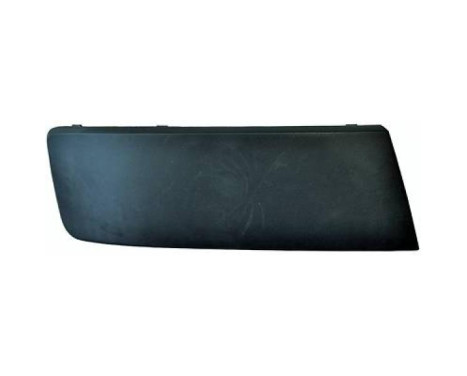 Decorative/protection panel, bumper