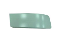 Decorative/protection panel, bumper