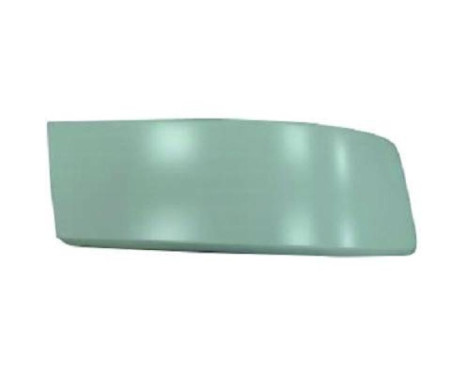 Decorative/protection panel, bumper