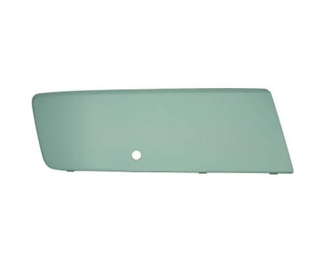 Decorative/protection panel, bumper