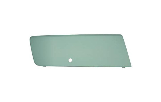 Decorative/protection panel, bumper