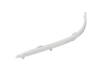 Decorative/protection panel, bumper