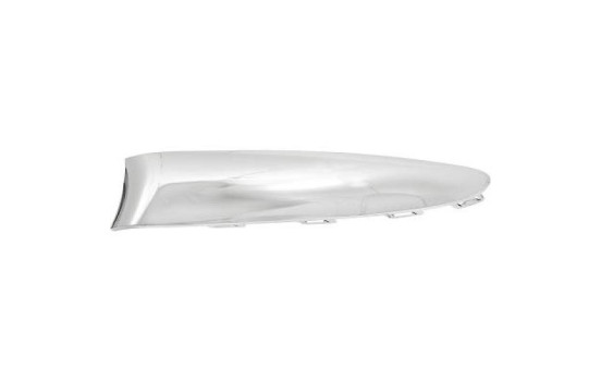 Decorative/protection panel, bumper