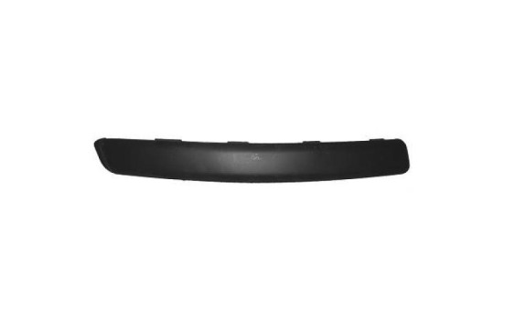 Decorative/protection panel, bumper