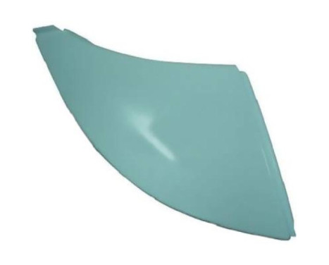 Decorative/protection panel, bumper