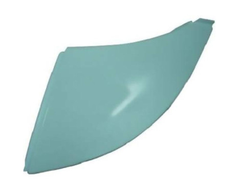 Decorative/protection panel, bumper