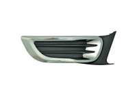 Decorative/protection panel, bumper