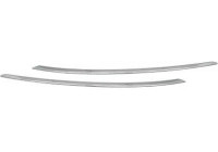 Decorative/protection panel, bumper