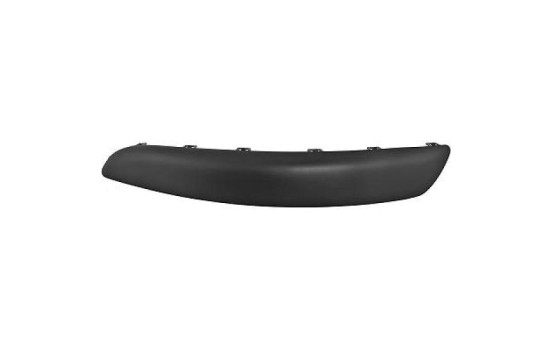Decorative/protection panel, bumper