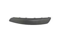 Decorative/protection panel, bumper