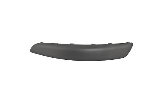 Decorative/protection panel, bumper