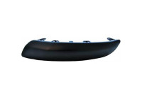 Decorative/protection panel, bumper
