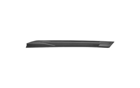 Decorative/protection panel, bumper