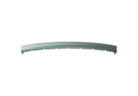 Decorative/protection panel, bumper
