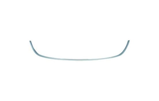 Decorative/protection panel, bumper