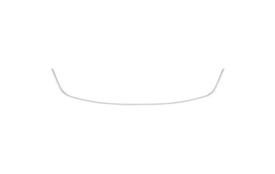 Decorative/protection panel, bumper