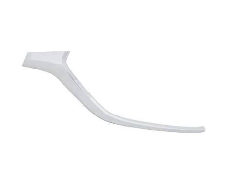 Decorative/protection panel, bumper