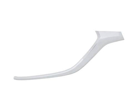 Decorative/protection panel, bumper