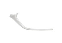 Decorative/protection panel, bumper