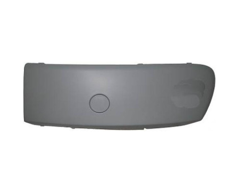 Decorative/protection panel, bumper