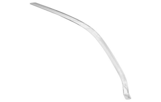 Decorative/protection panel, bumper