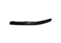 Decorative/protection panel, bumper