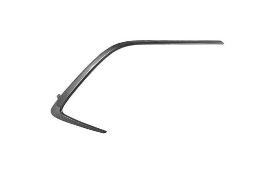 Decorative/protection panel, bumper