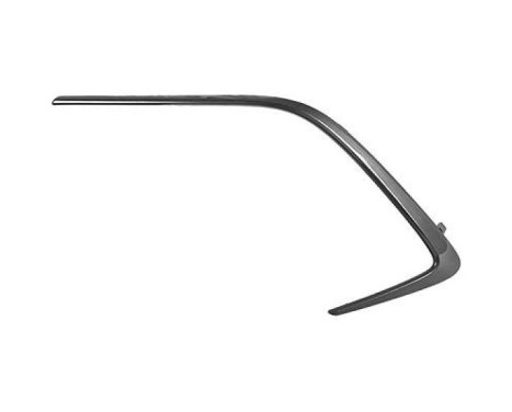 Decorative/protection panel, bumper