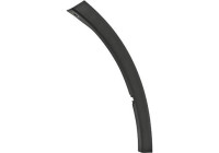 Decorative/protection panel, bumper