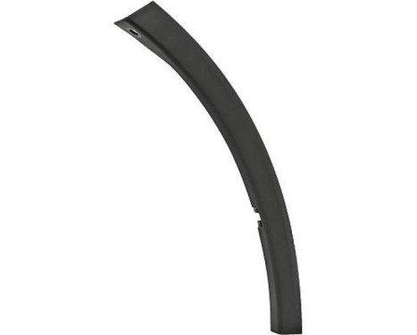 Decorative/protection panel, bumper