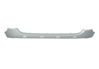 Decorative/protection panel, bumper