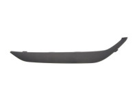 Decorative/protection panel, bumper