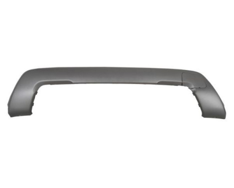 Decorative/protection panel, bumper