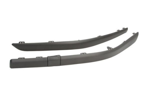 Decorative/protection panel, bumper