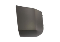 Decorative/protection panel, bumper