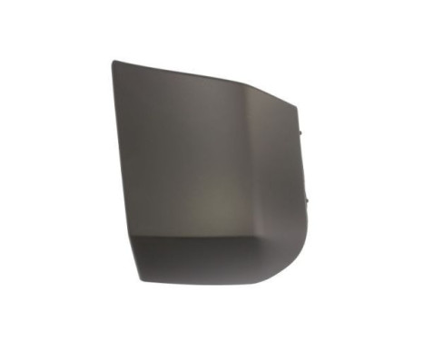 Decorative/protection panel, bumper