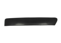 Decorative/protection panel, bumper