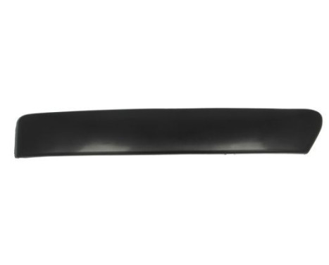 Decorative/protection panel, bumper